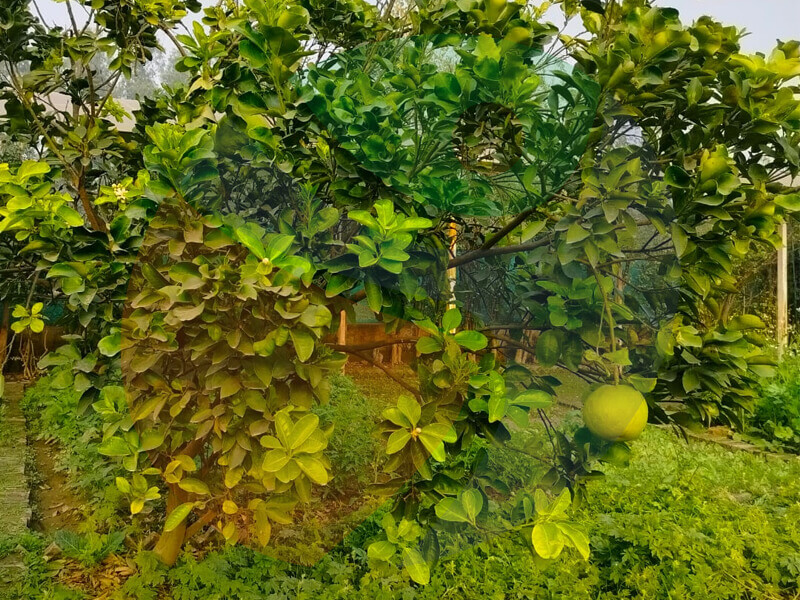 sportsland activity farms noida