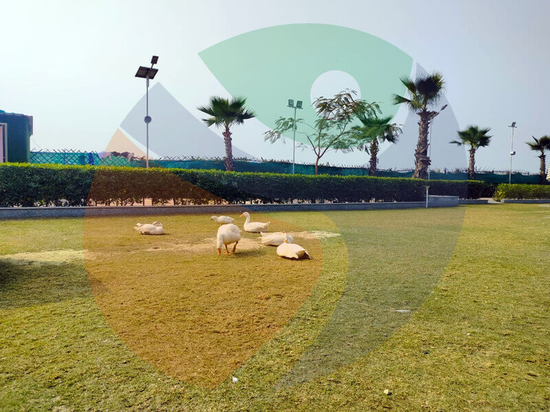 sportsland farmhouses noida