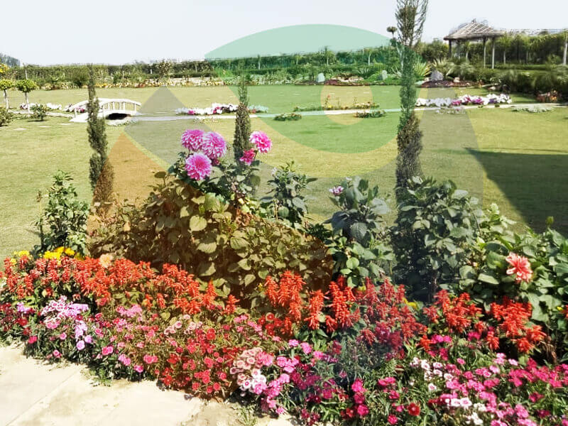 sportsland farmhomes noida